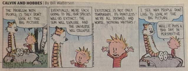 Calvin and Hobbes - big picture